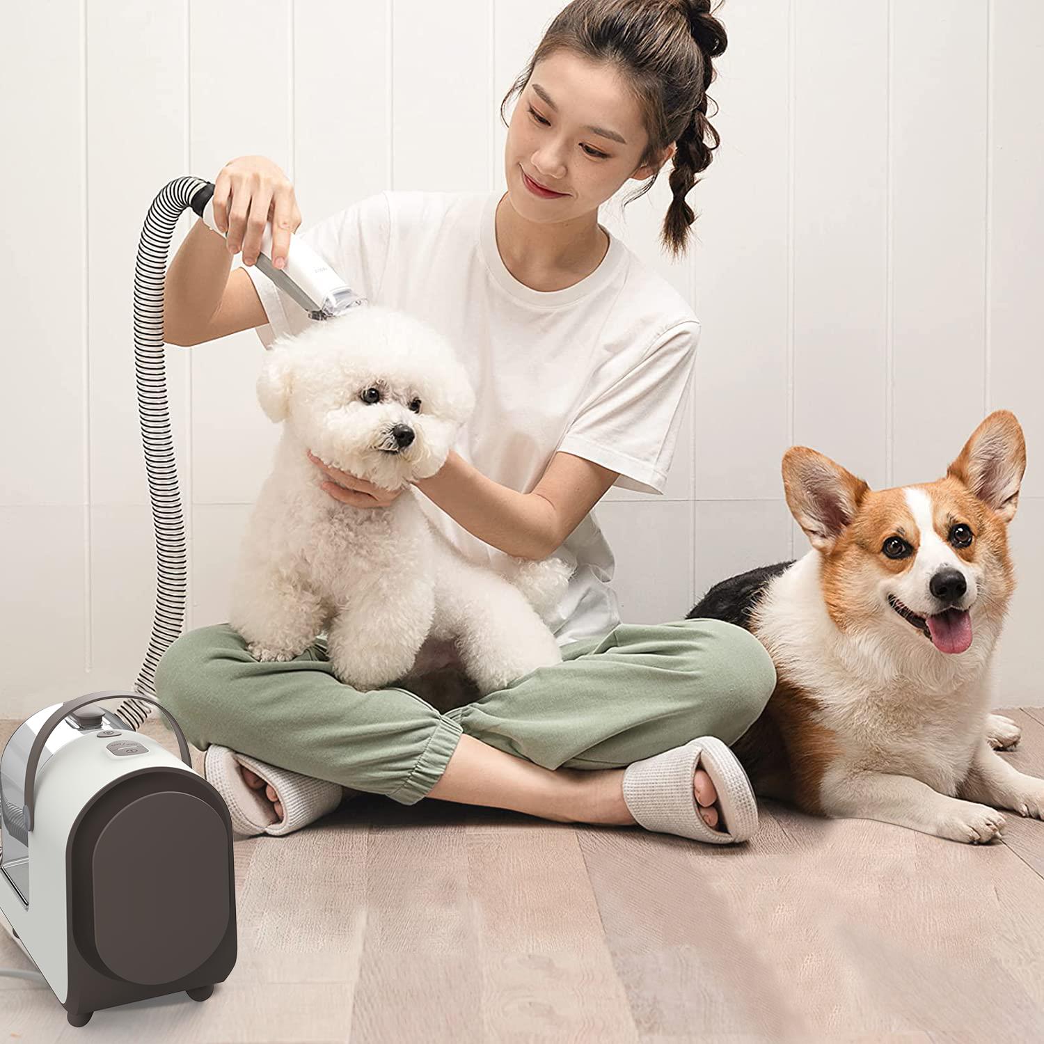 400 W Super Silent Pet Grooming Vacuum Set for Dog and Cat 